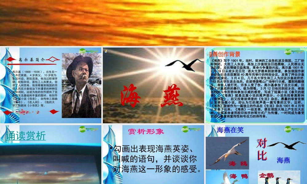 八年级语文下册(海燕)课件 苏教版 课件