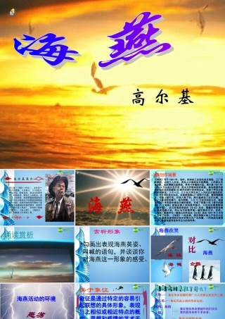 八年级语文下册(海燕)课件 苏教版 课件