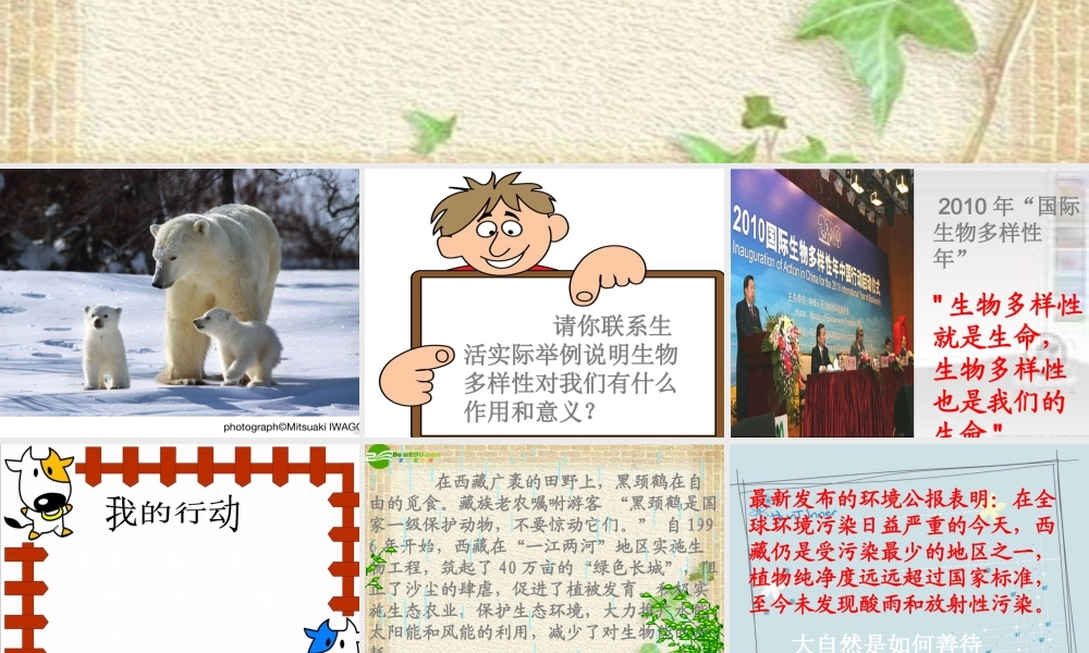 山东省八年级政治下册(关爱大自然从我做起)(2)课件 鲁教版 课件