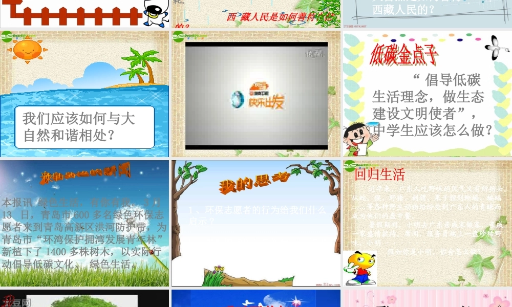 山东省八年级政治下册(关爱大自然从我做起)(2)课件 鲁教版 课件