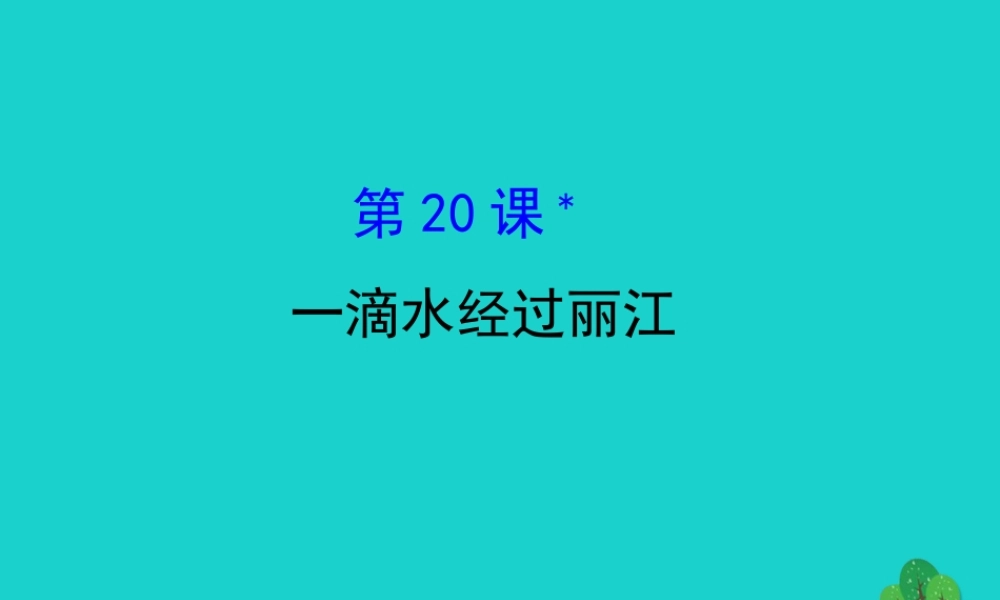 八年级语文下册 第五单元 滴水经过丽江习题课件 新人教版 课件