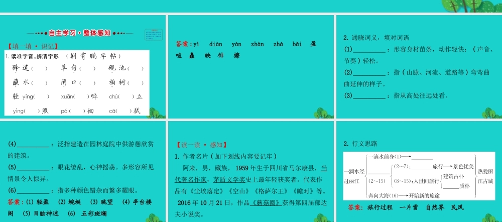 八年级语文下册 第五单元 滴水经过丽江习题课件 新人教版 课件
