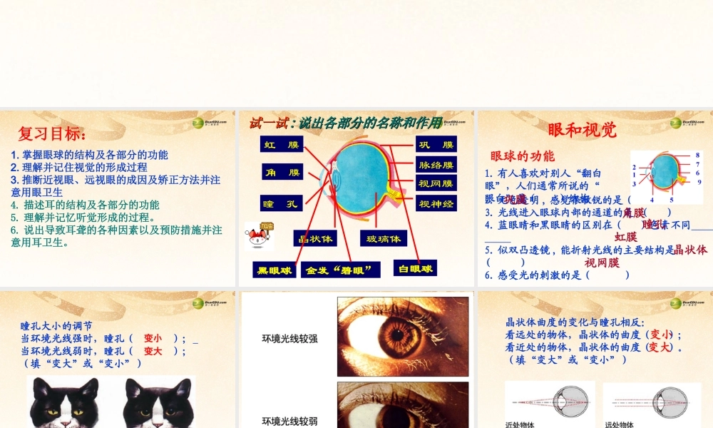 八年级生物下册 第六章 人体对外界环境的感知复习配套课件1 鲁科版 课件