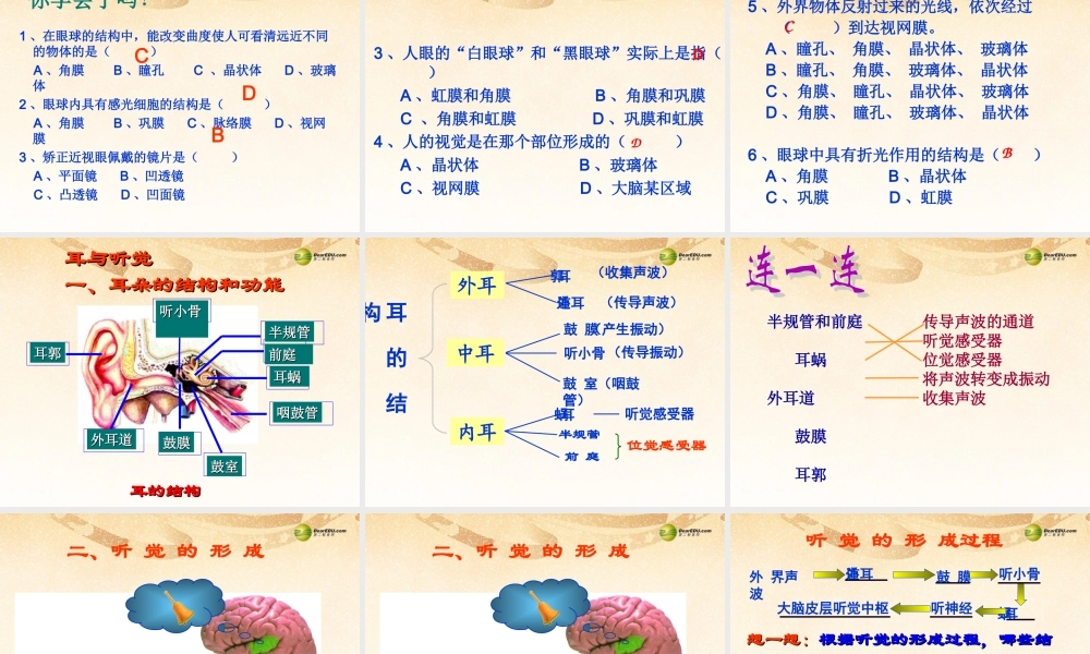 八年级生物下册 第六章 人体对外界环境的感知复习配套课件1 鲁科版 课件