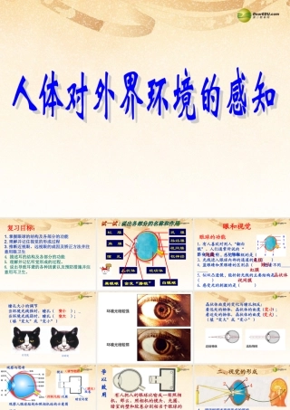 八年级生物下册 第六章 人体对外界环境的感知复习配套课件1 鲁科版 课件