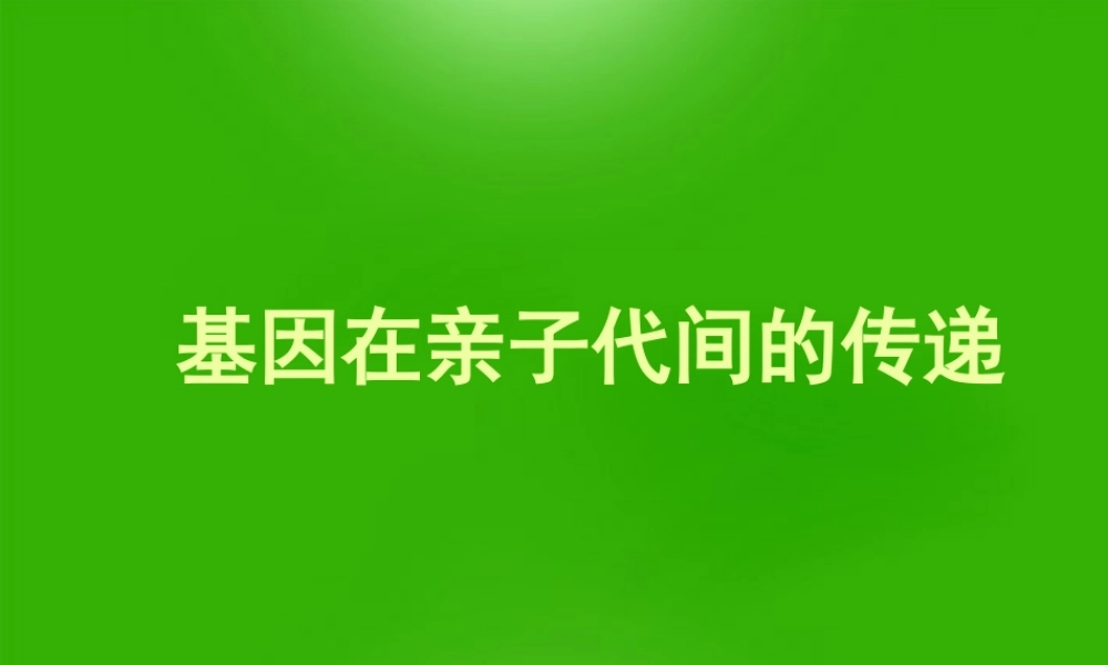 八年级生物下册 基因在亲子代间传递课件 人教新课标版 课件