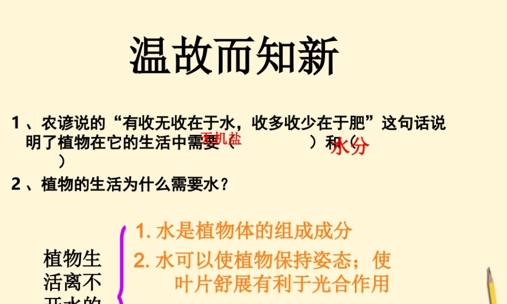 七年级生物 水分进入植物体的途径课件 人教新课标版 课件