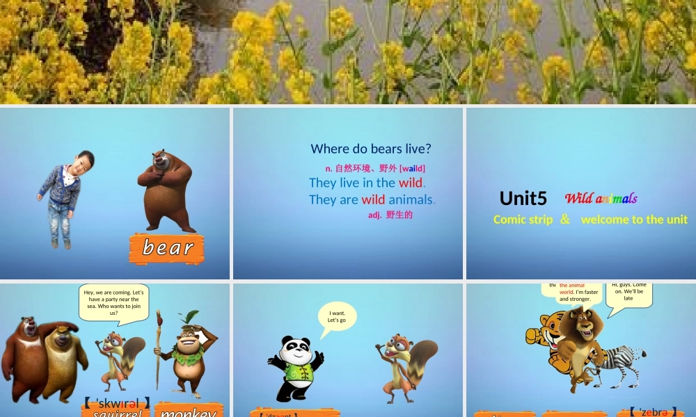 八年级英语上册 Unit 5 Wild animals课件 (新版)牛津版 课件