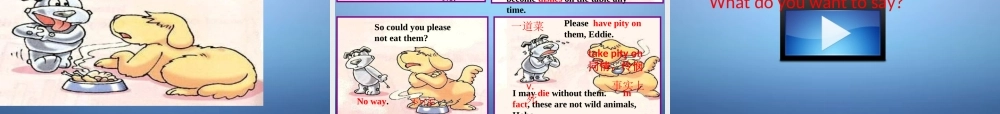 八年级英语上册 Unit 5 Wild animals课件 (新版)牛津版 课件