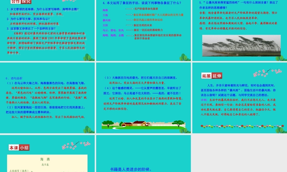 九年级语文下册 第一单元 4 海燕课件 九年级语文下册 第一单元 4 海燕课件+素材 新人教版-2