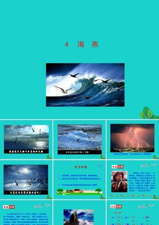 九年级语文下册 第一单元 4 海燕课件 九年级语文下册 第一单元 4 海燕课件+素材 新人教版-2