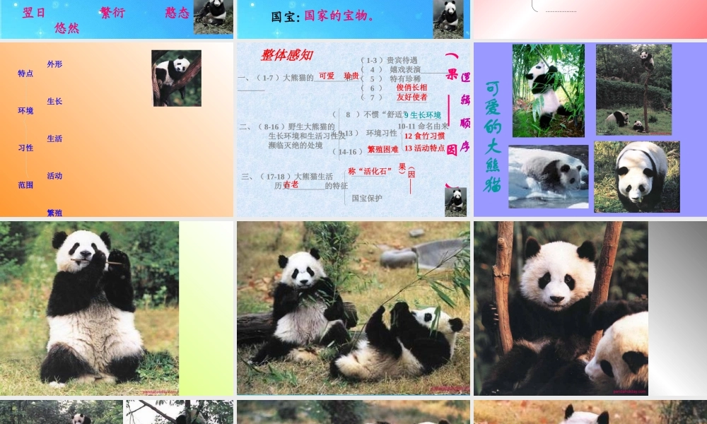 七年级语文下册 第四单元(国宝——大熊猫)课件 苏教版 课件