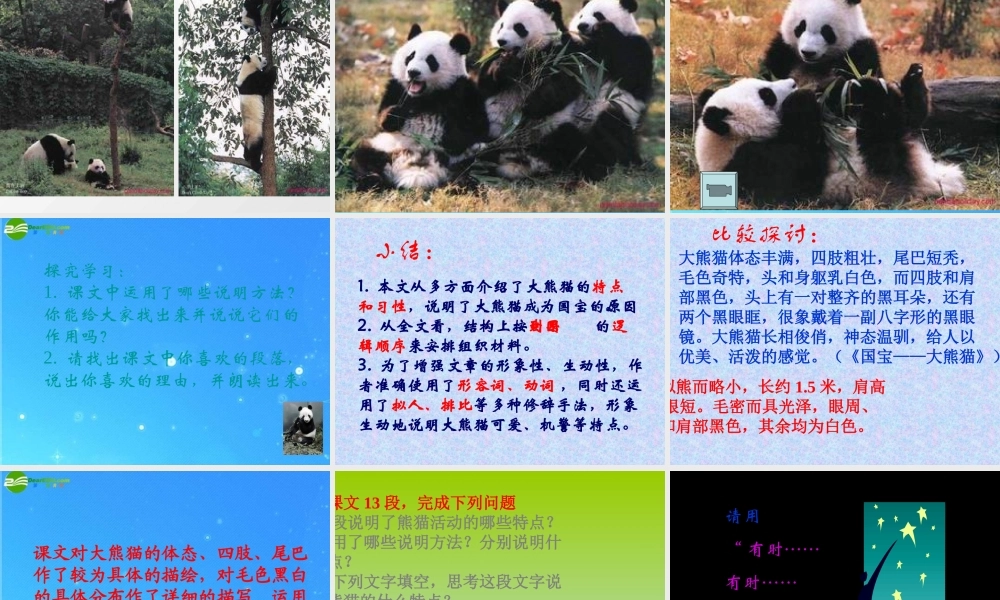 七年级语文下册 第四单元(国宝——大熊猫)课件 苏教版 课件