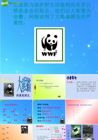 七年级语文下册 第四单元(国宝——大熊猫)课件 苏教版 课件