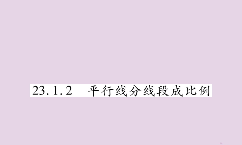 九年级数学上册 第23章 图形的相似 231 成比例线段 2312 平行线分线段成比例课件 (新版)华东师大版 课件