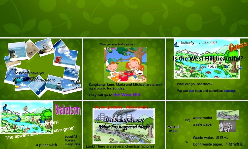 九年级英语上册 Unit 2 Topic 1 Pollution has causes too many problems Section A课件 (新版)仁爱版 课件