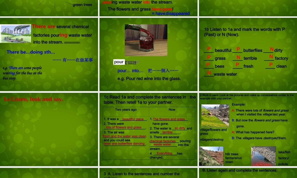 九年级英语上册 Unit 2 Topic 1 Pollution has causes too many problems Section A课件 (新版)仁爱版 课件