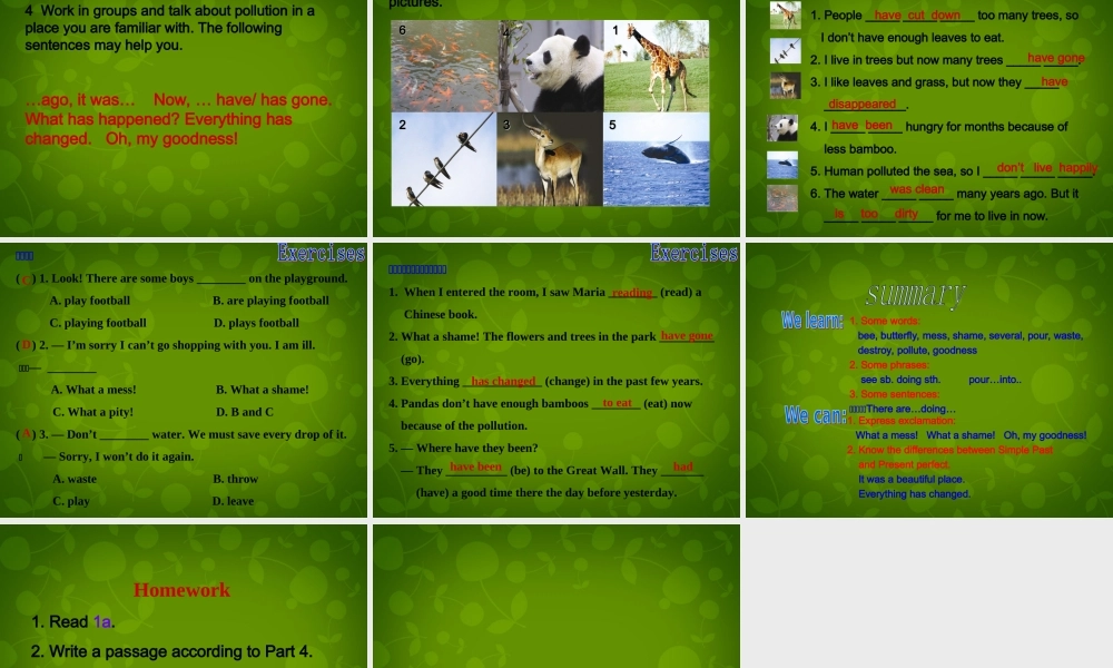 九年级英语上册 Unit 2 Topic 1 Pollution has causes too many problems Section A课件 (新版)仁爱版 课件