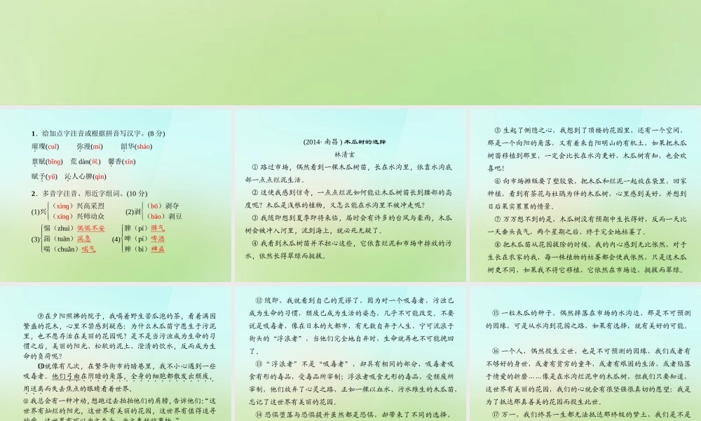 九年级语文上册 4草莓习题课件 语文版 课件