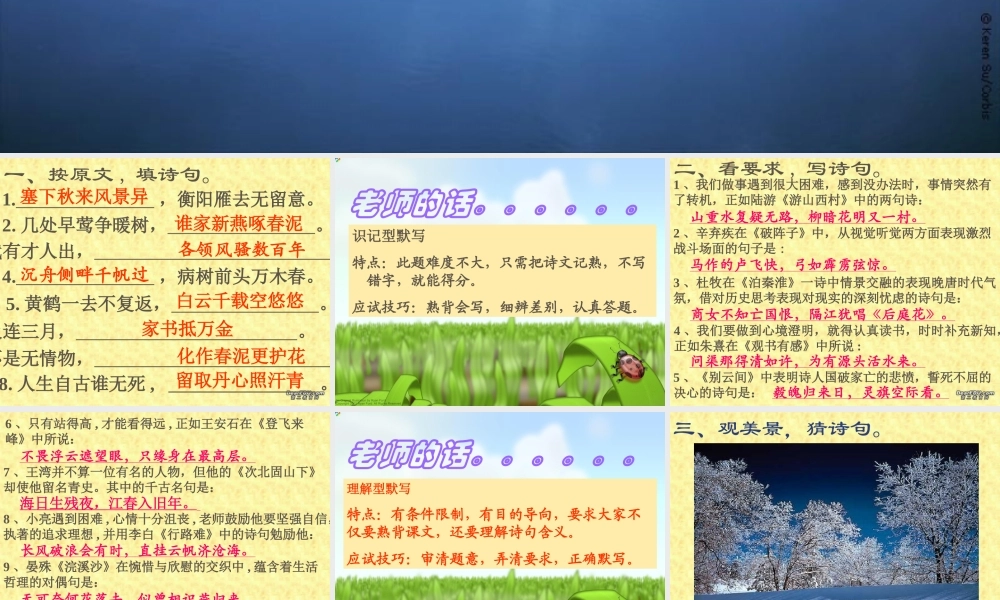 初中语文古诗词积累复习 人教版 课件