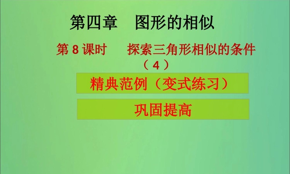 九年级数学上册 第4章 图形的相似 第8课时 探索三角形相似的条件(4)(课堂导练)习题课件 (新版)北师大版 课件
