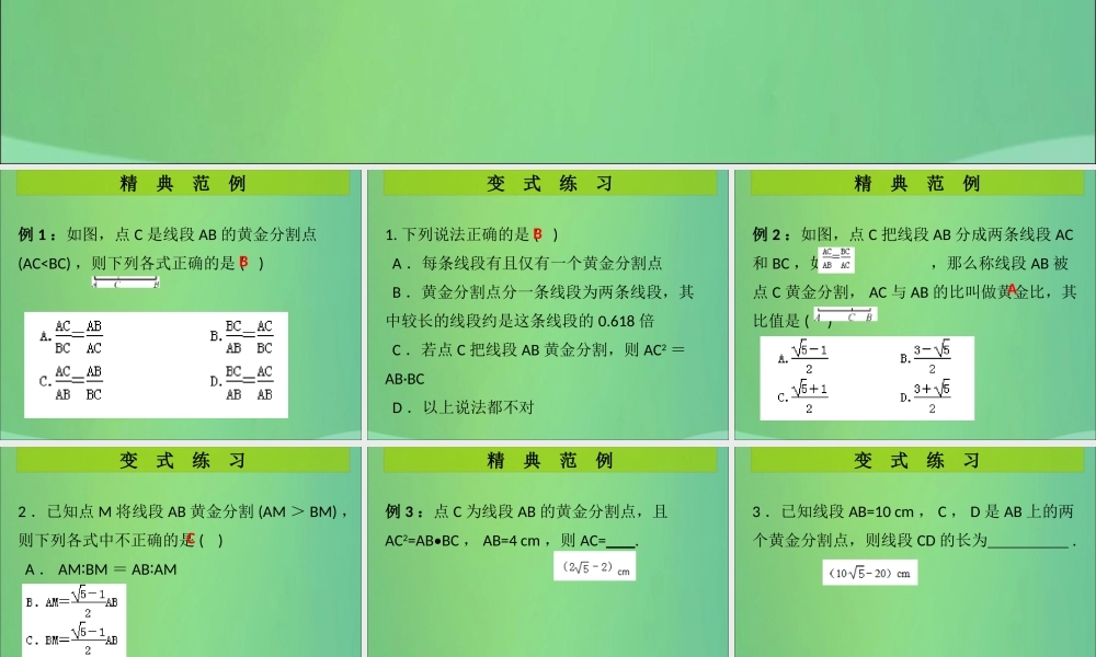 九年级数学上册 第4章 图形的相似 第8课时 探索三角形相似的条件(4)(课堂导练)习题课件 (新版)北师大版 课件