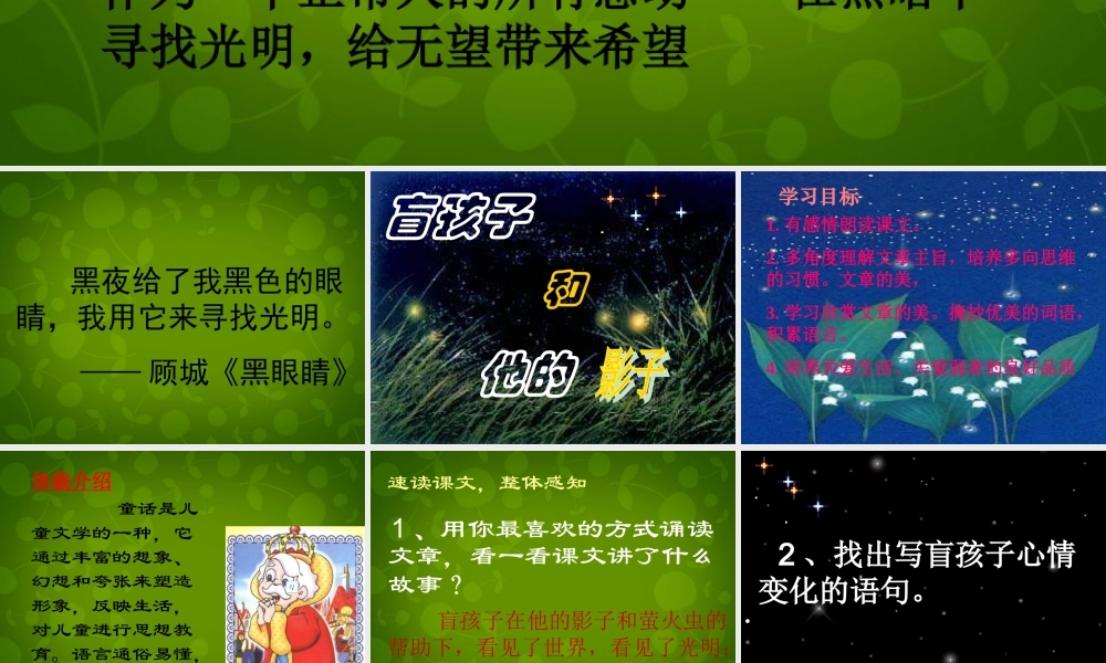 中学七年级语文上册 29 盲孩子和他的影子课件 (新版)新人教版