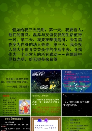 中学七年级语文上册 29 盲孩子和他的影子课件 (新版)新人教版