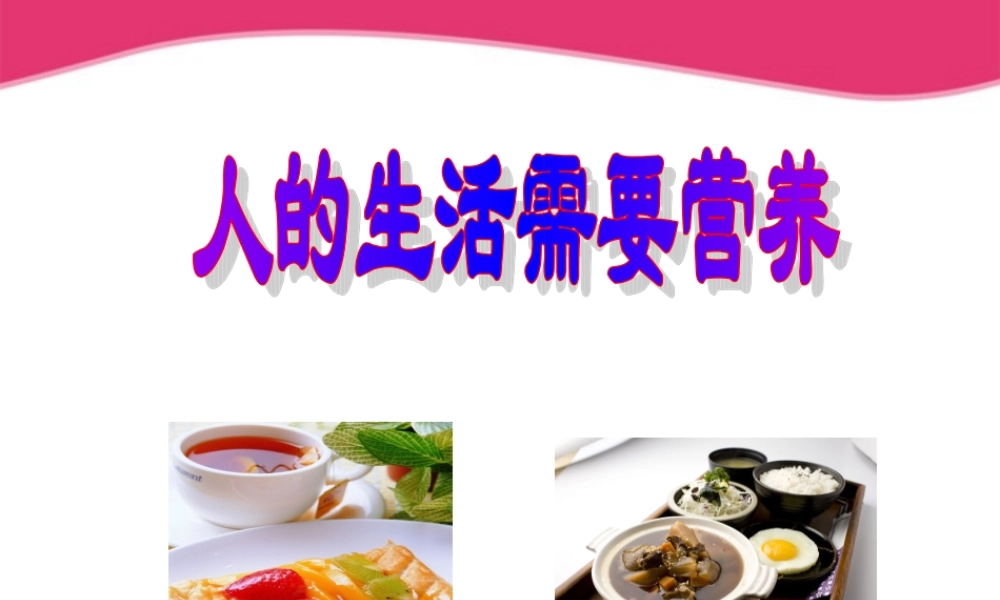 七年级生物下册 人的生活需要营养复习课件 济南版 课件