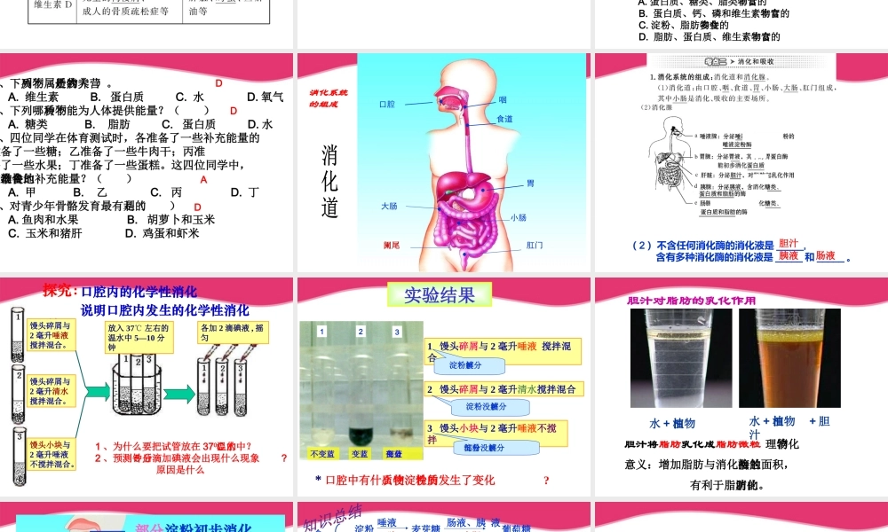 七年级生物下册 人的生活需要营养复习课件 济南版 课件