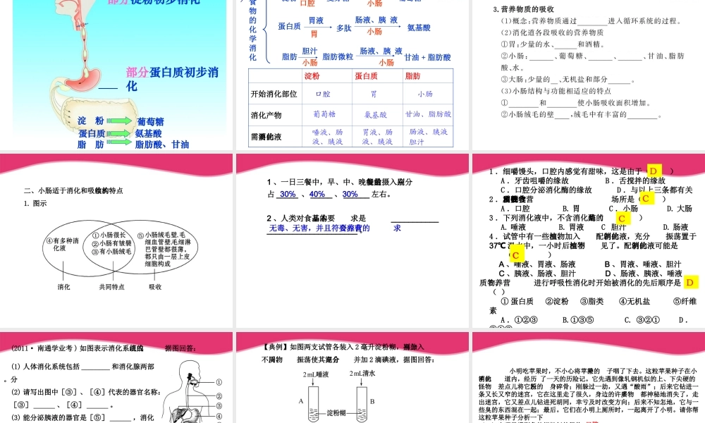 七年级生物下册 人的生活需要营养复习课件 济南版 课件