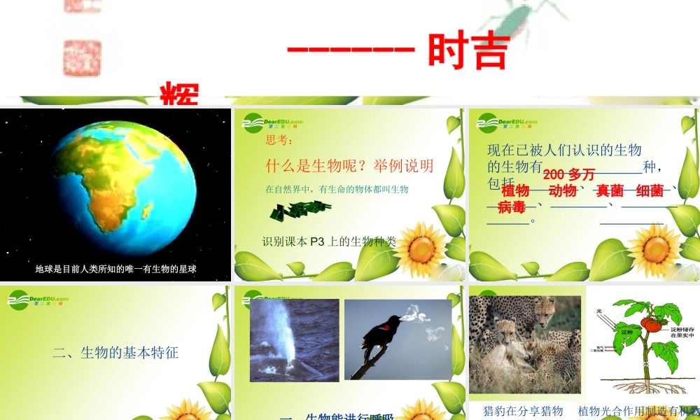 七年级生物第一章 奇妙的生命现象课件