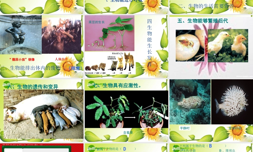 七年级生物第一章 奇妙的生命现象课件