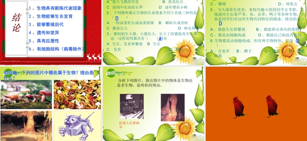 七年级生物第一章 奇妙的生命现象课件