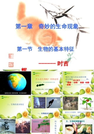 七年级生物第一章 奇妙的生命现象课件