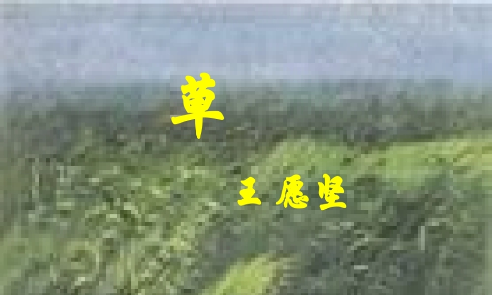 八年级语文上册 (草)优秀教学课件 苏教版 课件