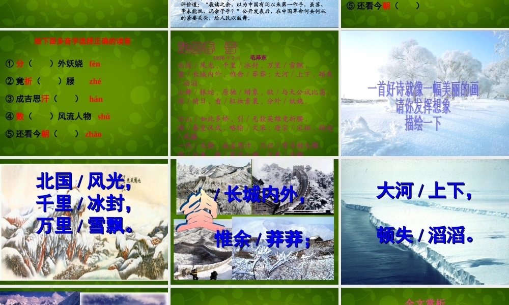 九年级语文上册 1 沁园春 雪课件2 新人教版 课件