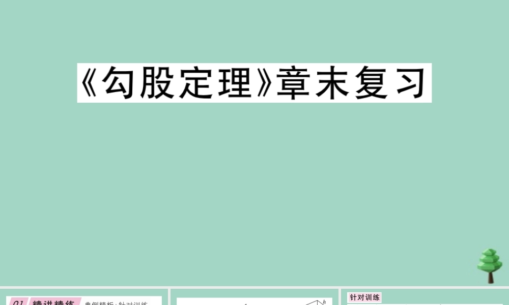 八年级数学上册 第一章(勾股定理)章末复习作业课件 (新版)北师大版 课件