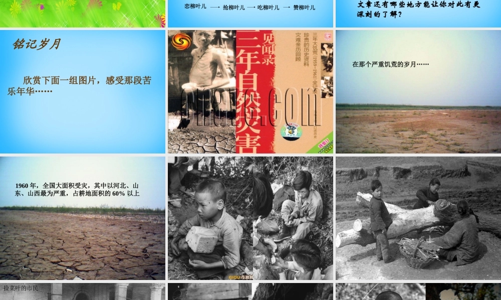 中学七年级语文下册 第10课 柳叶儿课件 (新版)苏教版 课件