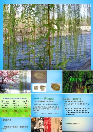 中学七年级语文下册 第10课 柳叶儿课件 (新版)苏教版 课件