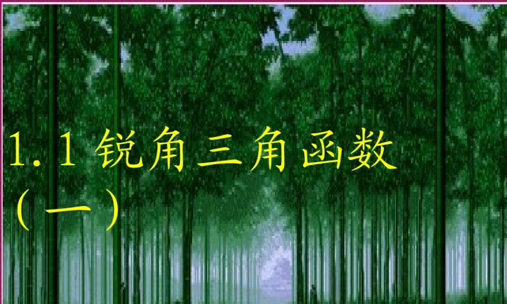 九年级数学下册 11锐角三角函数课件(一) 浙教版 课件