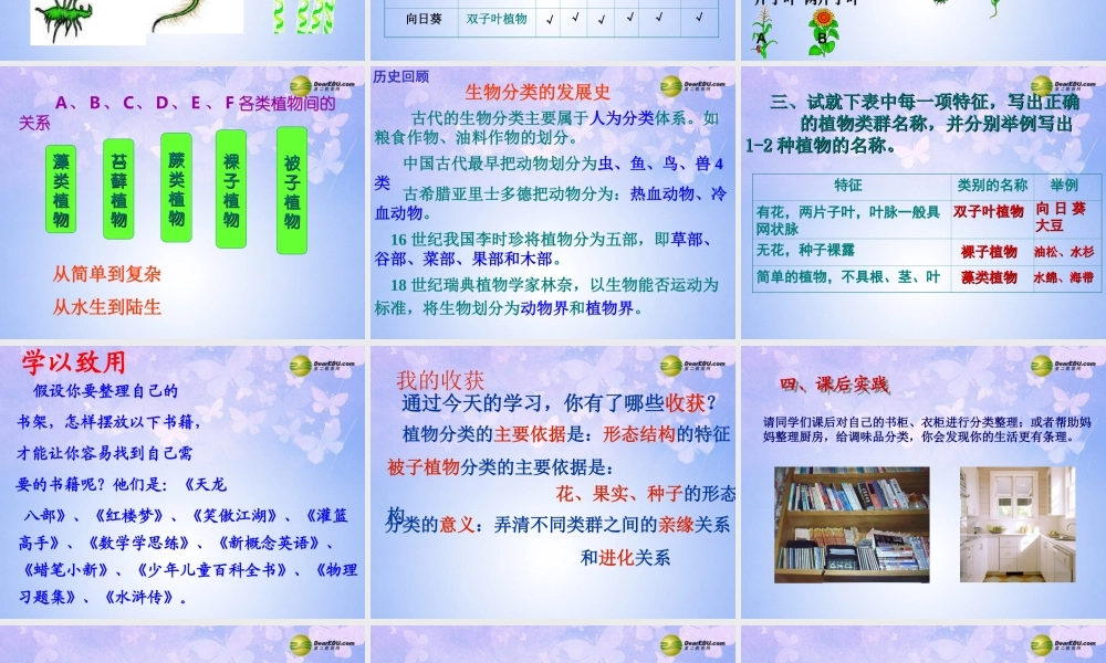 八年级生物上册 1.1 尝试对生物进行分类课件 新人教版 课件