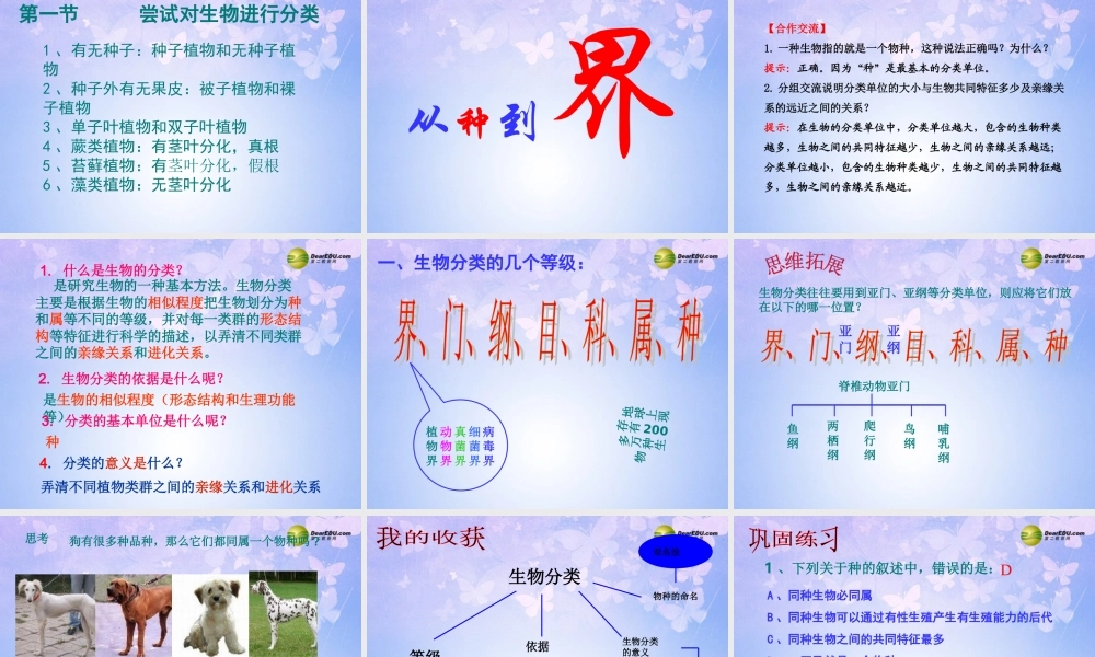 八年级生物上册 1.1 尝试对生物进行分类课件 新人教版 课件