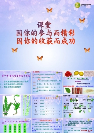 八年级生物上册 1.1 尝试对生物进行分类课件 新人教版 课件