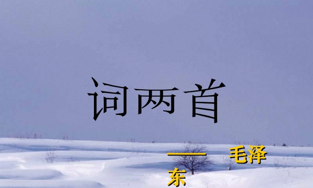 九年级语文下册第3课 词两首 课件长春版 课件