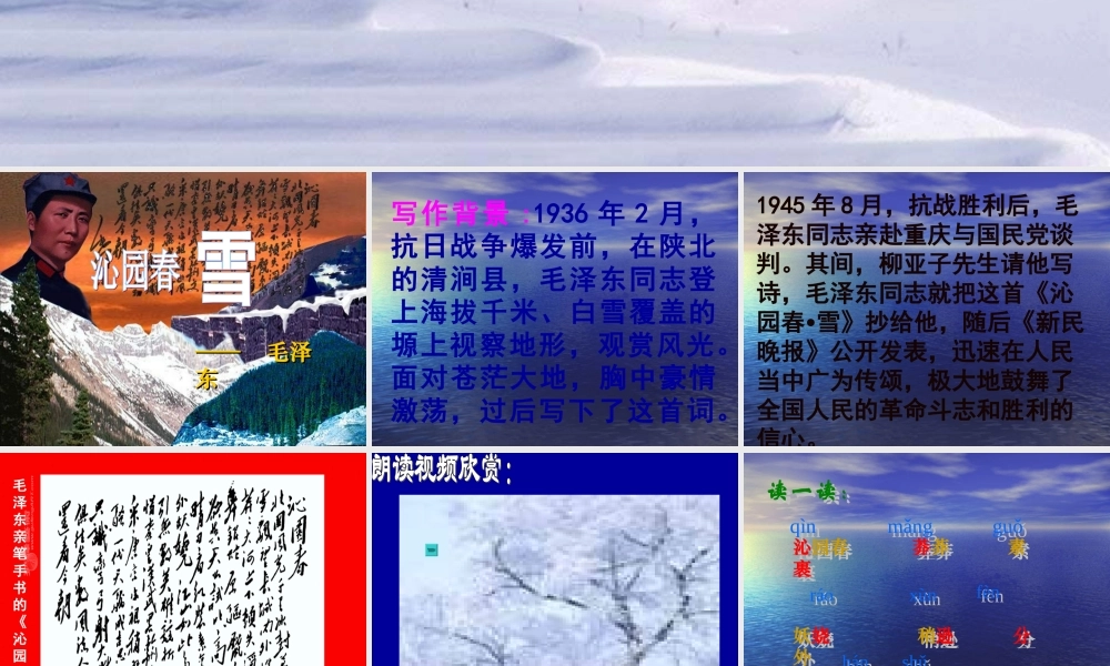 九年级语文下册第3课 词两首 课件长春版 课件