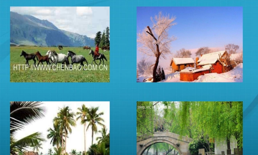 八年级地理上册 四大地理区域的划分课件 人教新课标版 课件