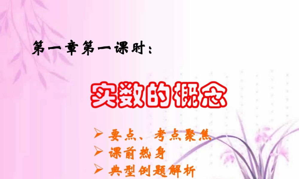 中考数学实数的概念复习课件一 课件