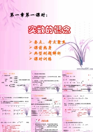 中考数学实数的概念复习课件一 课件
