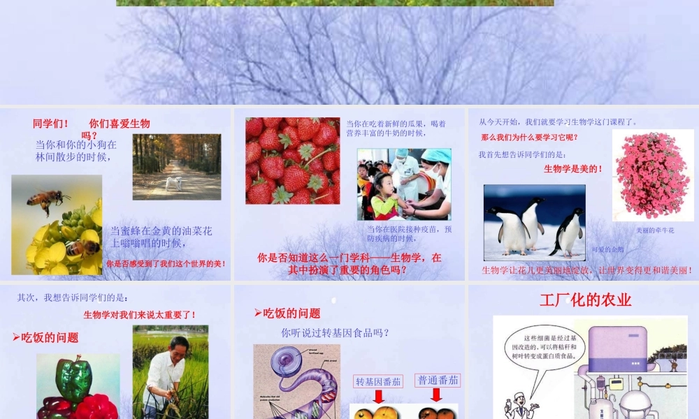 七年级生物致同学们1课件